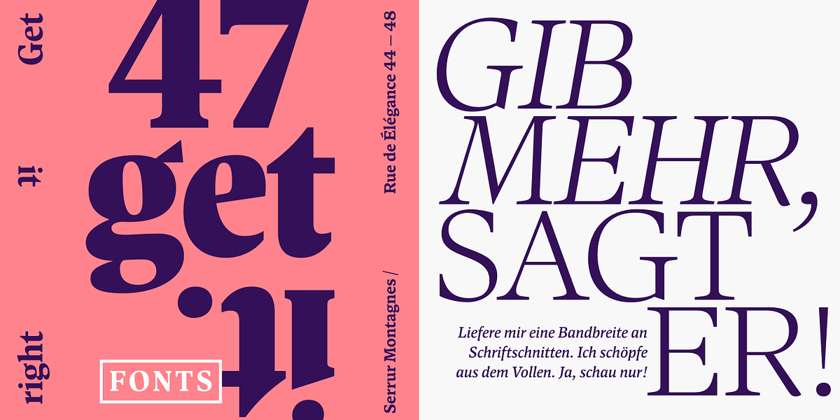 Antonia, a Serif Font by Typejockeys (Photo 4 of 6)