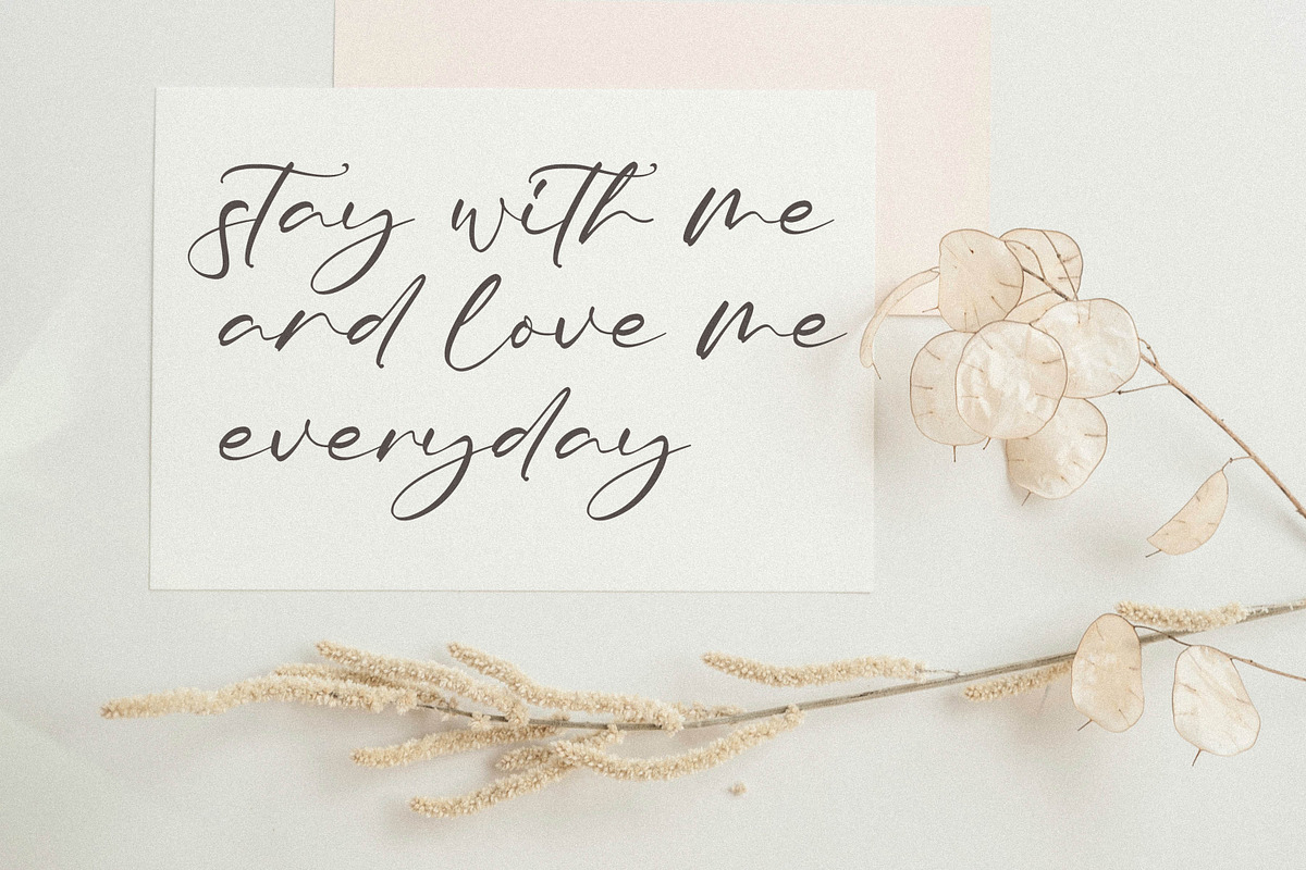 Tiara, a Script Font by Integritype Studio (Photo 7 of 10)