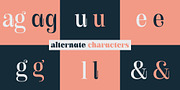 Royalis, a Serif Font by Julien Fincker (Thumbnail 15 of 15)