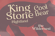 Castile, a Serif Font by Fontastic (Thumbnail 3 of 9)
