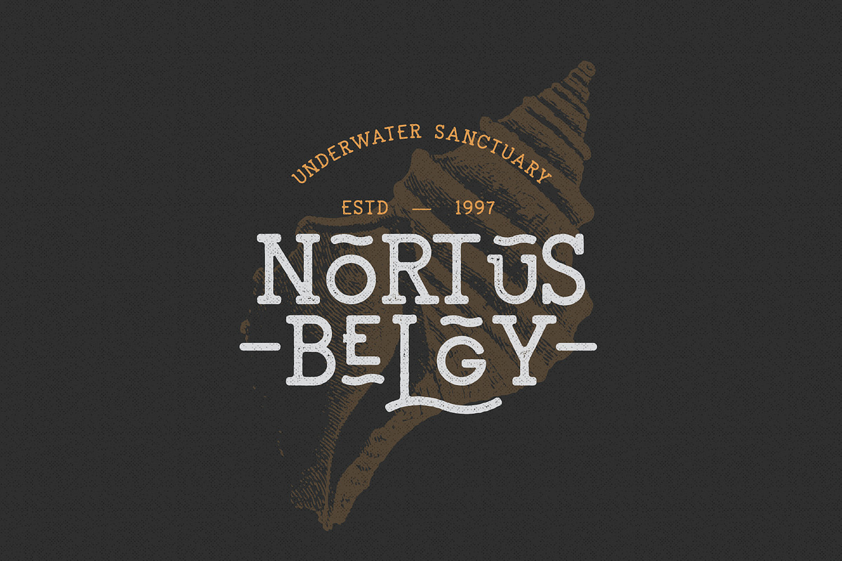 LightHouse - Sailor Rough Typeface preview 8
