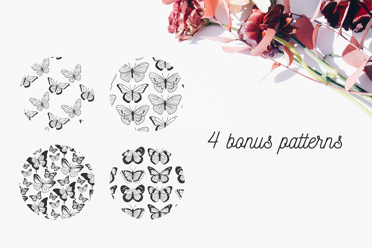 Butterfly | Vector illustrations, an Object Illustration by Wander Designs (Photo 7 of 7)