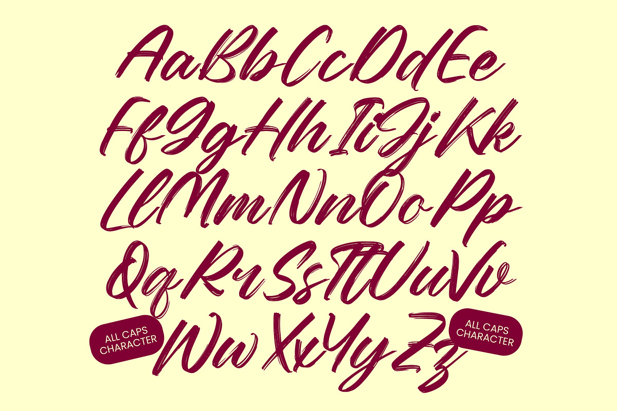 Nesthan Brother Modern Brush Font, a Script Font by Letterena Studios Script (Photo 13 of 20)