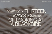 Dessign Maison - Hybrid Display Font, a Serif Font by SilverStag Type Foundry (Thumbnail 8 of 18)