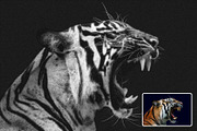 Pencil Drawings Effect Photoshop, a Layer Style Add-On by Hubzway (Thumbnail 4 of 7)