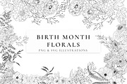 Birth Month Flowers SVG - PNG, a Decorative Illustration by AW Studios (Thumbnail 1 of 11)