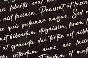 Andalugia Elegant Script Font, a Script Font by Basnistudio (Thumbnail 7 of 9)