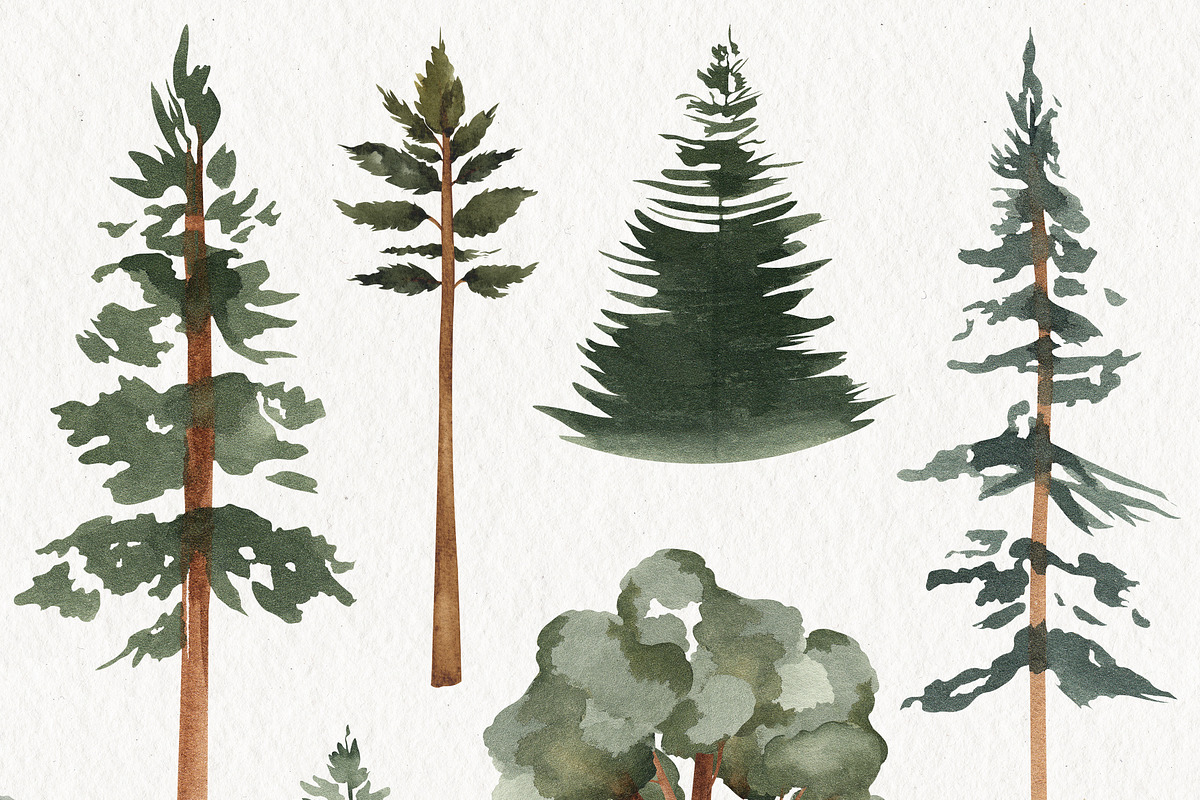 Watercolor Forest Trees Clipart, an Education Illustration by Ooh Lily (Photo 5 of 6)