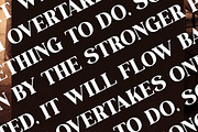 Silenta Vintage Alternate Serif Font, a Serif Font by Letterena Studios (Thumbnail 9 of 15)
