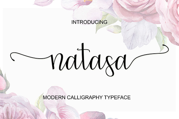 Natasa Script Font preview 8
