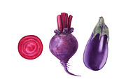 Watercolor organic food, a Food Illustration by Katya Zlobina (Thumbnail 5 of 9)