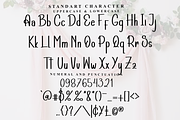 Skyting, a Script Font by InermediaSTUDIO (Thumbnail 4 of 7)