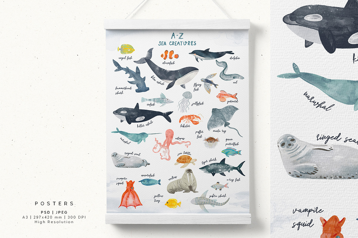 Watercolor Sea collection, an Animal Illustration by annartdreams (Photo 12 of 13)