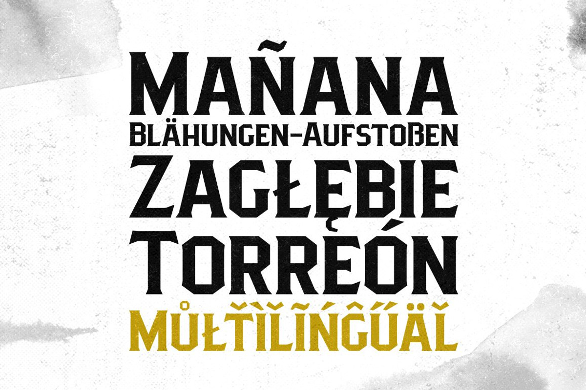 Pittsbrook Family | 50% OFF!, a Sans Serif Font by Twicolabs Fontdation (Photo 4 of 12)