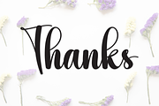 Variety | Script Font, a Handwritten Font by Scratchones (Thumbnail 9 of 9)