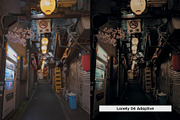 20 2049 Vibe Lightroom Presets LUTs, a Preset Add-On by SparkleStock (Thumbnail 10 of 16)