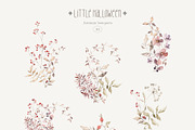 Little Halloween. Watercolor animals, a Seasonal Illustration by Kreker Kate (Thumbnail 3 of 13)