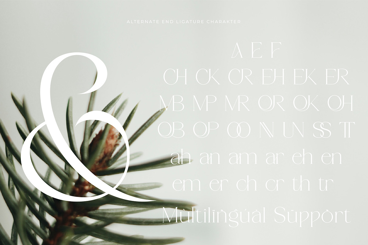 Cremore - Luxury Serif Typeface, a Serif Font by Muflieart (Photo 10 of 10)