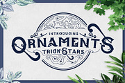 TrickStars Font + Extra Ornaments, a Font by PompoCo (Thumbnail 1 of 7)
