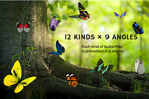 112 Butterfly Photo Overlays 2.0