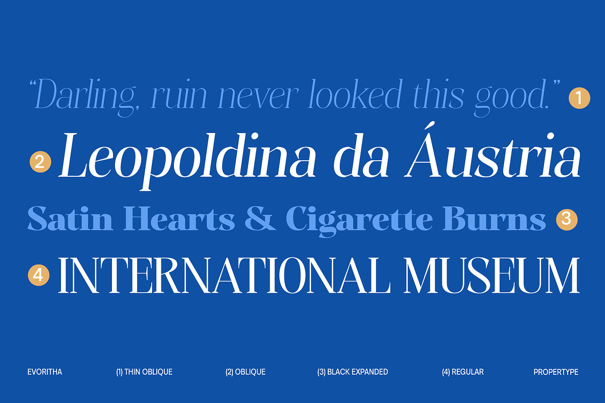 Evoritha, a Serif Font by Propertype (Photo 10 of 16)