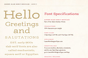 Adorn Collection, a Sans Serif Font by Laura Worthington (Thumbnail 35 of 62)