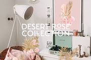 Tropical Romance modern floral rose, an Illustration by January Bloom (Thumbnail 3 of 29)