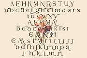 Mergian - Modern Serif, a Serif Font by tebaltipislab (Thumbnail 18 of 21)