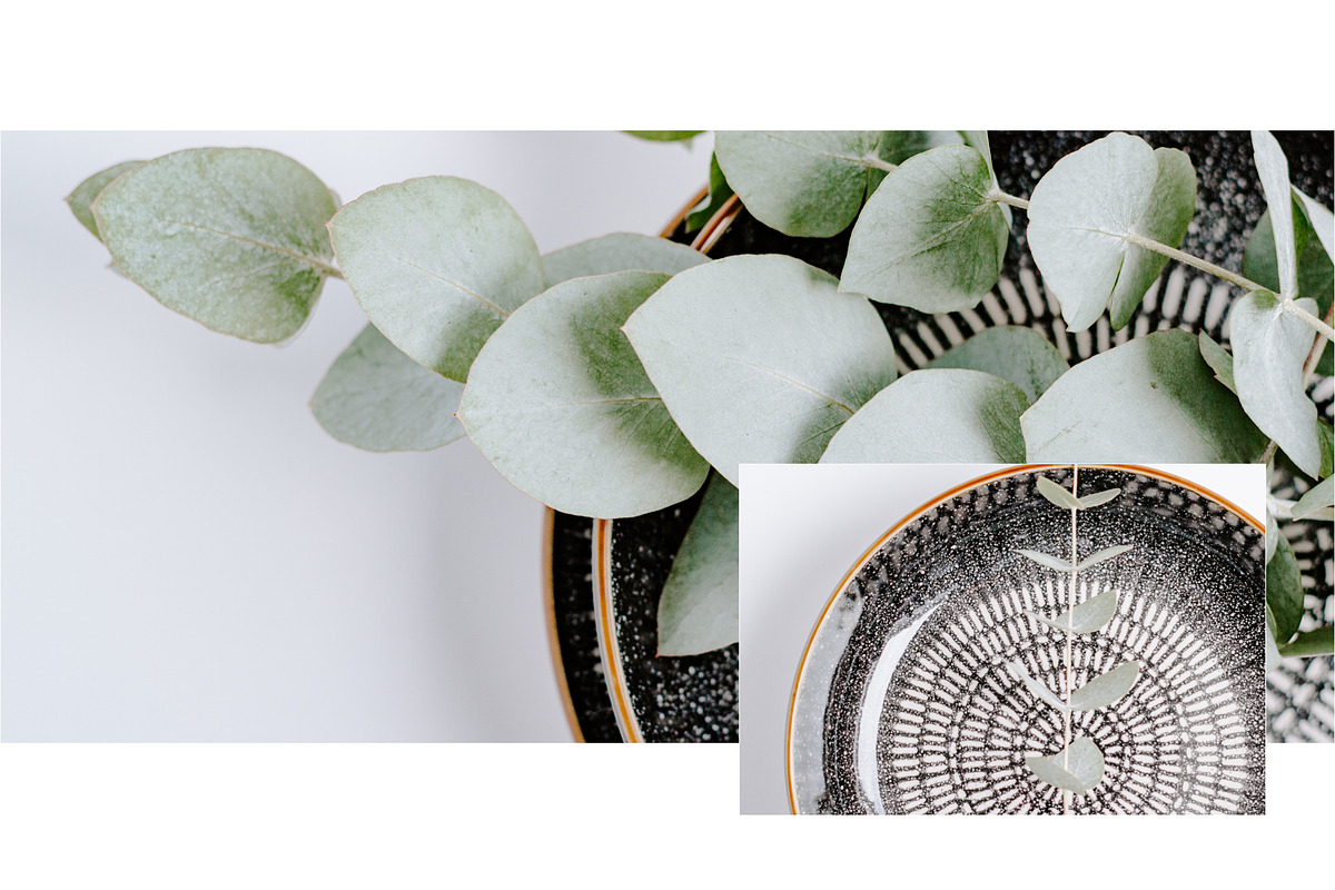 Eucalyptus Bundle, a Product Mockup by Peppermint &Tea (Photo 6 of 8)