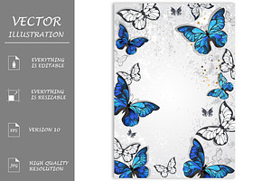 Frame With Butterflies Morpho