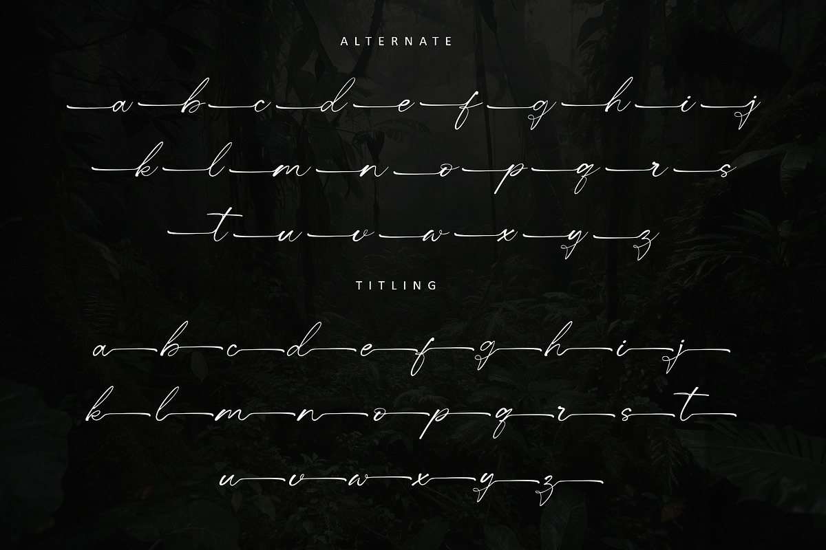 Centralwell, a Handwritten Font by Letterara (Photo 12 of 14)