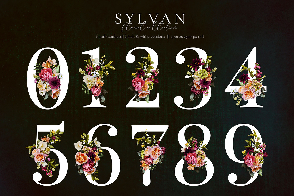 Sylvan Floral Clip Art Collection, an Object Graphic by Eclectic Anthology (Photo 16 of 20)