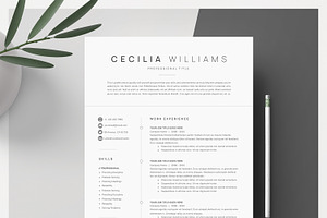 Clean Modern Resume Template