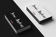 White Nights + Extras, a Script Font by Larin Type Co. (Thumbnail 9 of 9)