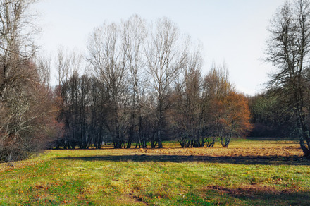 Sunny winter morning.Sanabria, Spain, a Nature Photo by Shootdiem