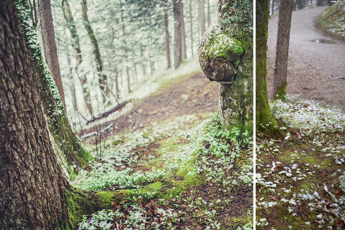 MILLION OF GREEN-Set of 20presets Lr, an Action Add-On by Graphics, Presets, Photos (Photo 8 of 21)