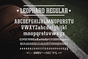Leophard Font Family, a Slab Serif Font by Arterfak Project (Thumbnail 6 of 14)