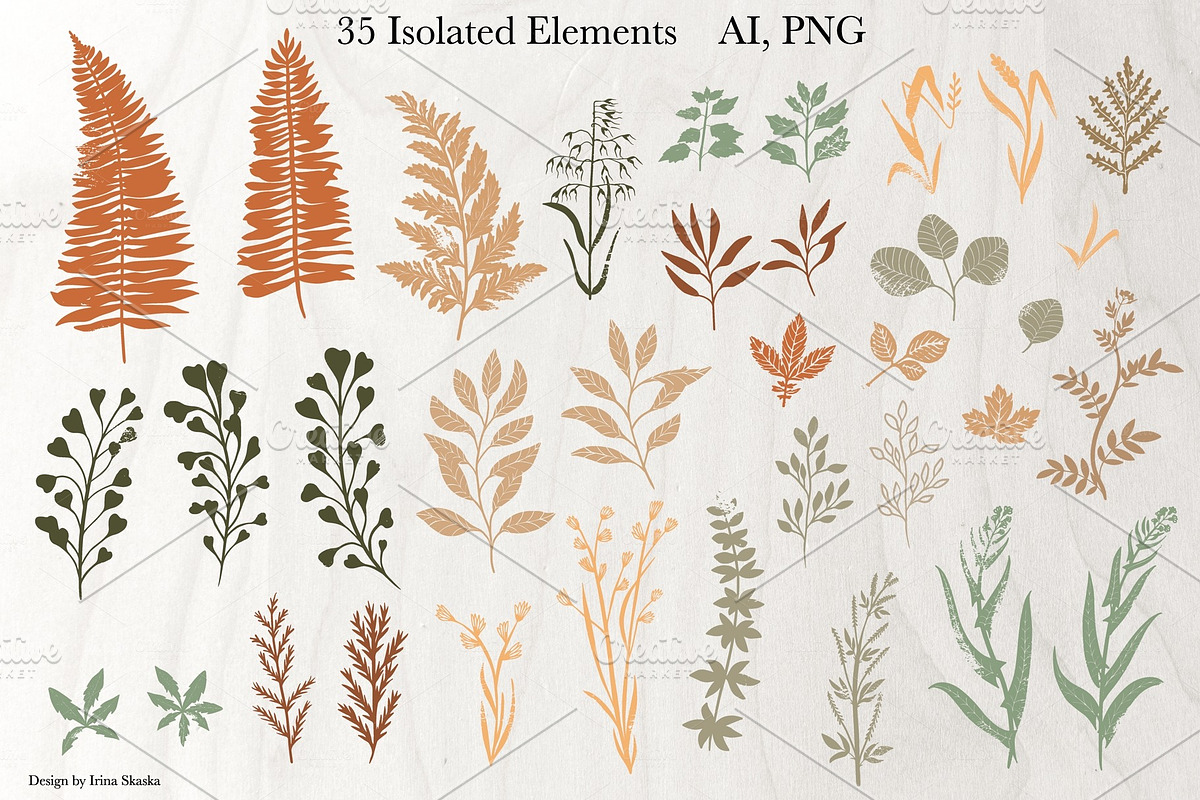 HERBARIUM. Vector set, a Pattern Graphic by Irina Skaska (Photo 10 of 12)