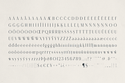 Opaline – Elegant Modern Serif Font, a Serif Font by Only Fonts (Thumbnail 10 of 11)