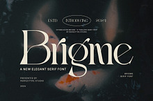 Brigme Elegant Serif Font Typeface