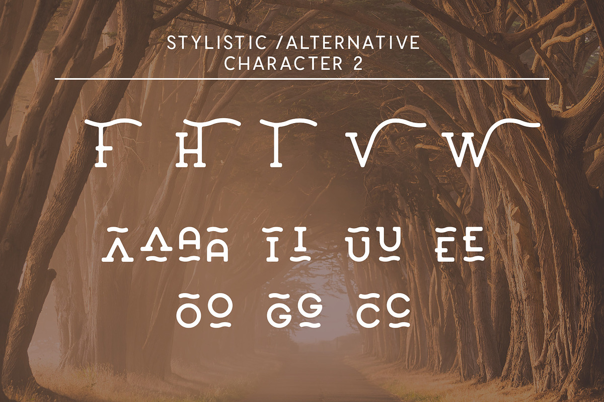 The Sailor Typeface, a Slab Serif Font by Kaligra.co (Photo 9 of 15)