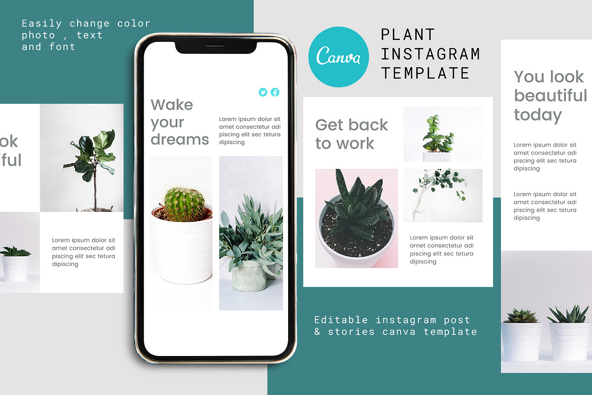 Canva Instagram Template Plant, a Social Media Template by Lythcreative (Photo 1 of 6)
