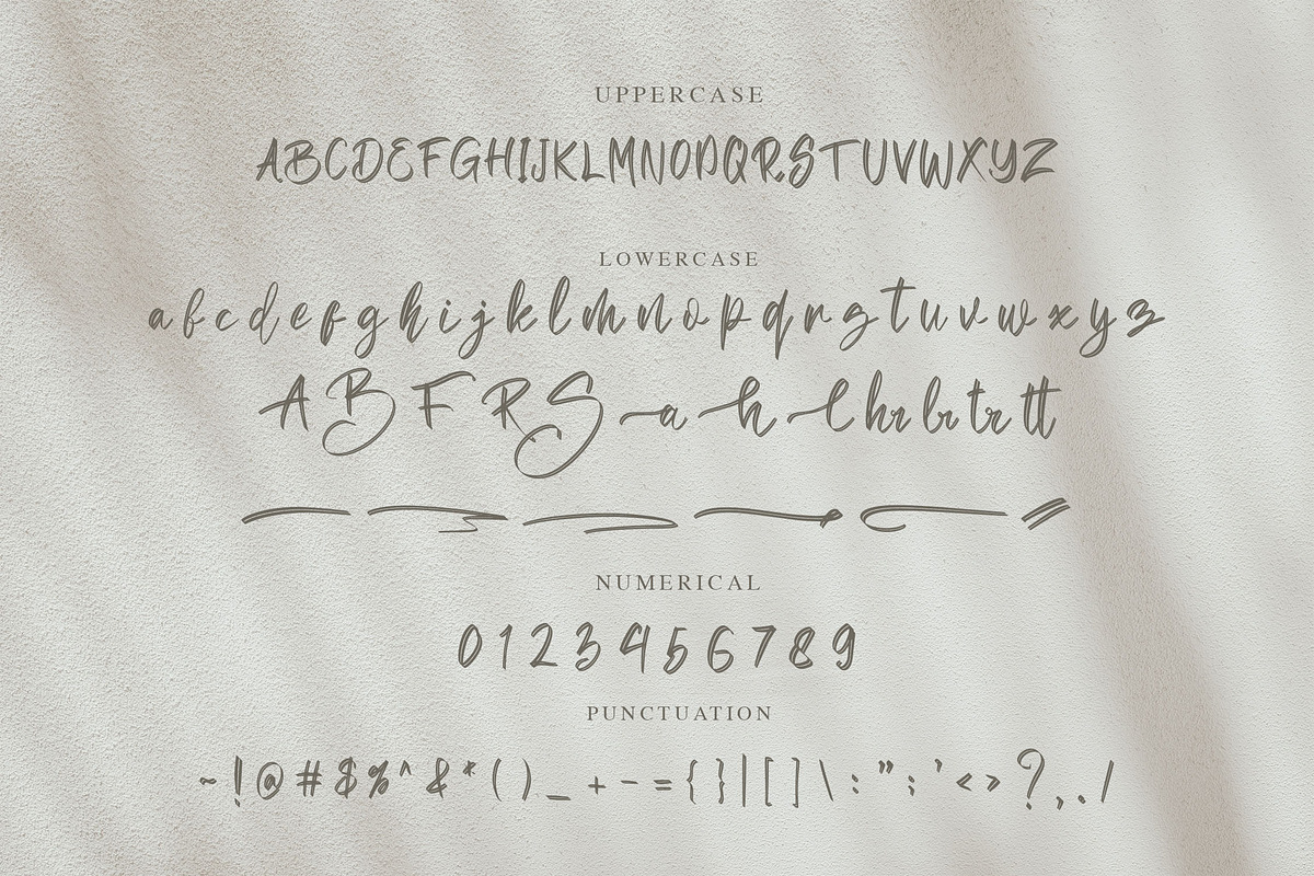 Sean Bettania - Brush Script Font, a Script Font by NTC Graphic (Photo 8 of 9)