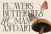 Bespoke Display - Serif & Script Duo, a Serif Font by SilverStag Type Foundry (Thumbnail 15 of 36)
