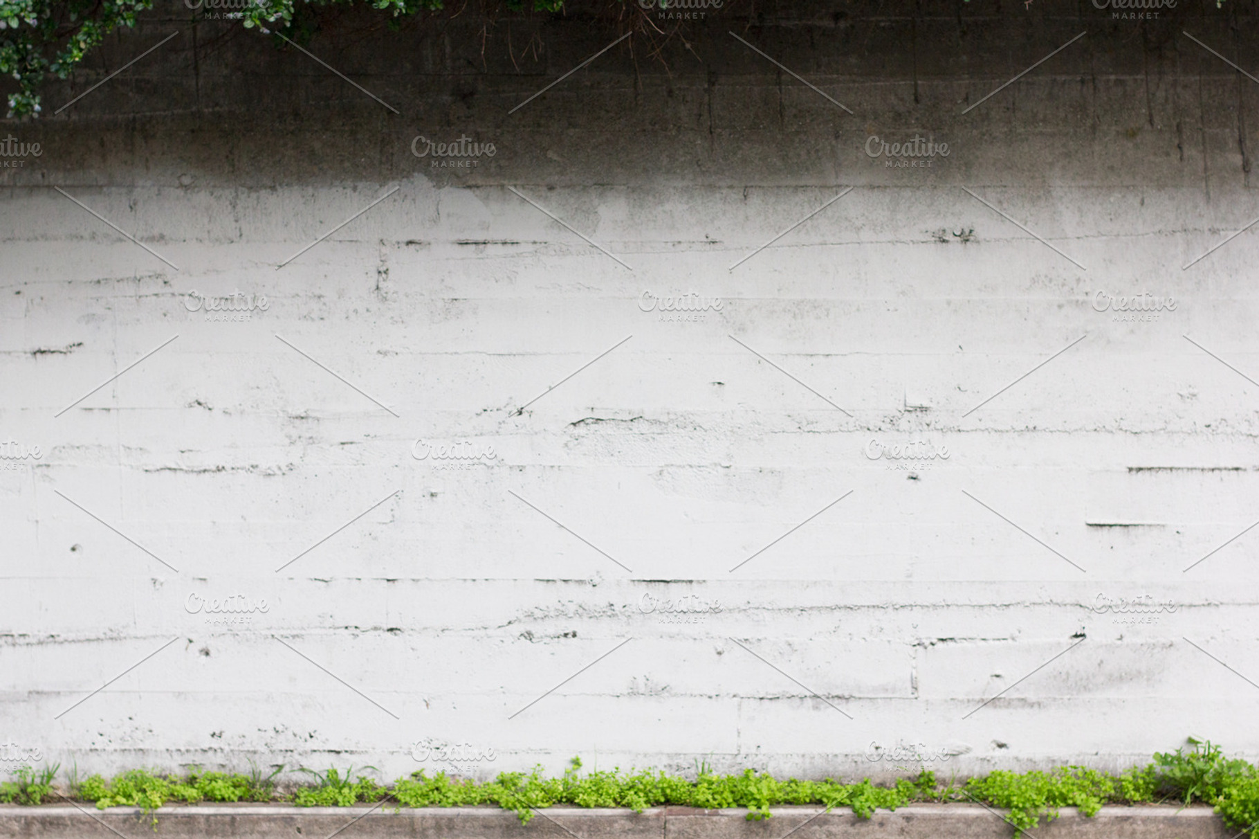 Blank wall containing background, backdrop, and plants, an Abstract Photo by Marsha Abrahams