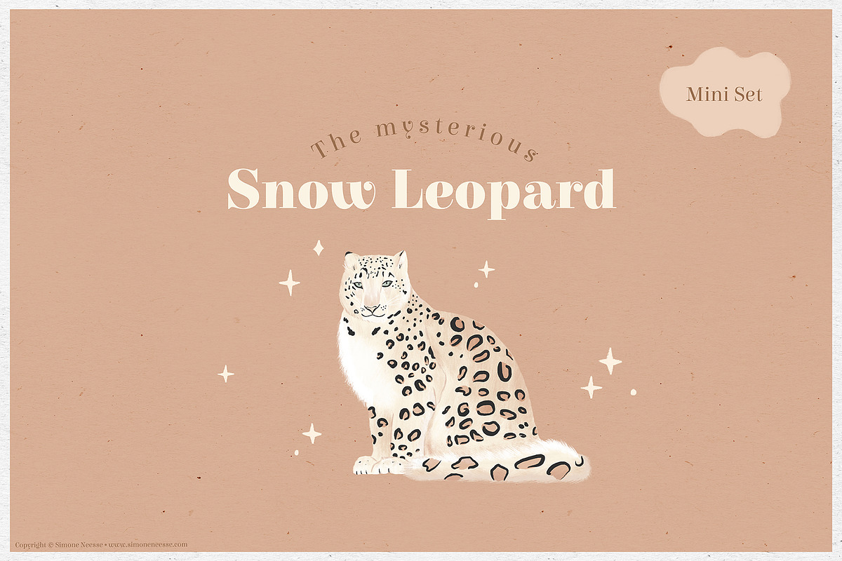 The Mysterious Snow Leopard, an Illustration by Drawn by Simone (Photo 1 of 8)