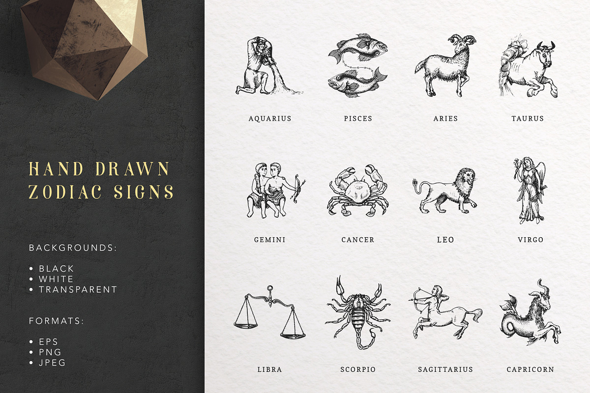 Astrology Zodiac Collection, a Decorative Illustration by Chewie Co (Photo 2 of 15)
