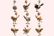 Ostrich PNG Clipart Bundle, a Graphic by M9 Design (Thumbnail 7 of 9)
