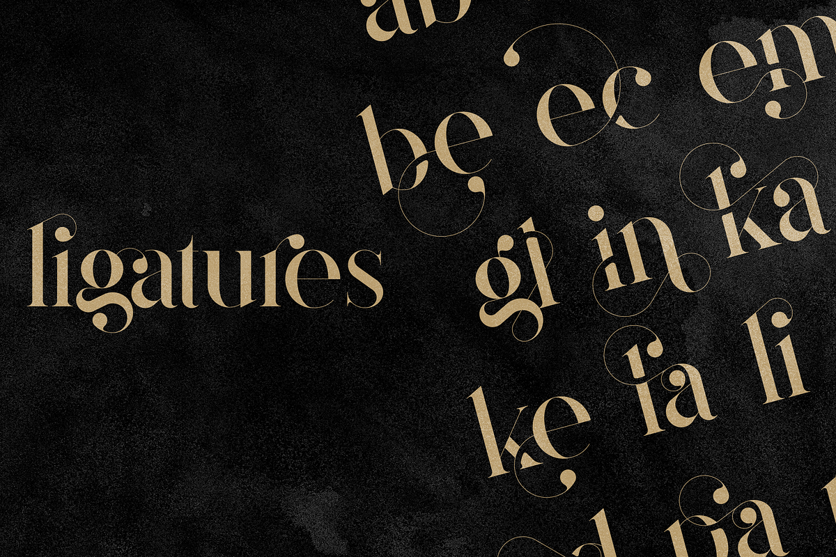 Magoa - Serif Ligature Typeface, a Serif Font by VP Fonts (Photo 3 of 10)