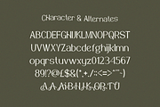 Jovencua Elegant Serif Font, a Serif Font by Vadovastd (Thumbnail 2 of 8)